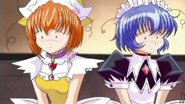 Hentai teens love to serve master in this anime video