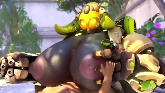 Overwatch
