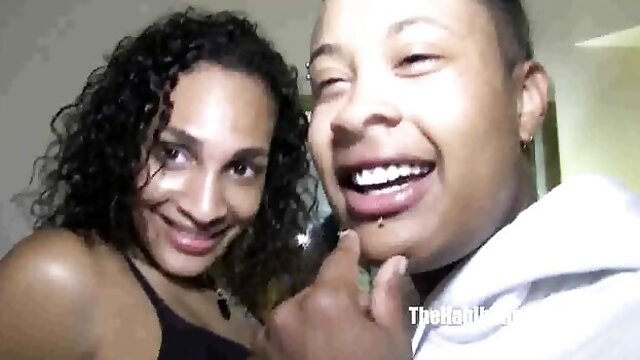 Extraordinary birds hung dirt