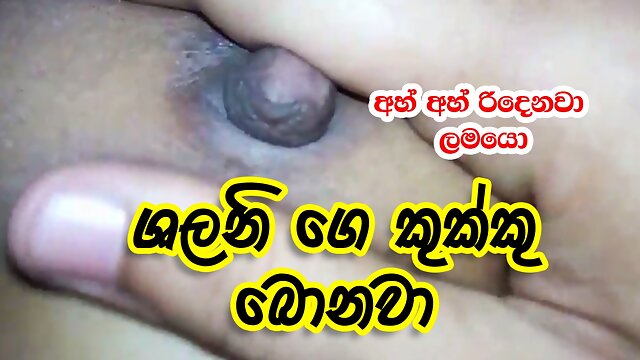 Desi Boob Sucking, Indian Nipple Sucking, Sri Lankan