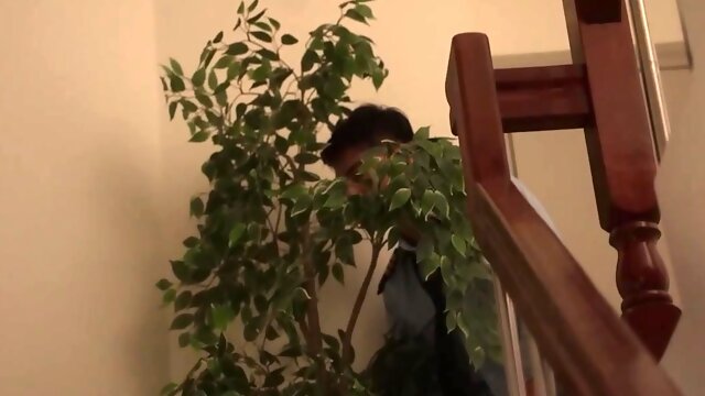 Asiatisch Höschen Ficken