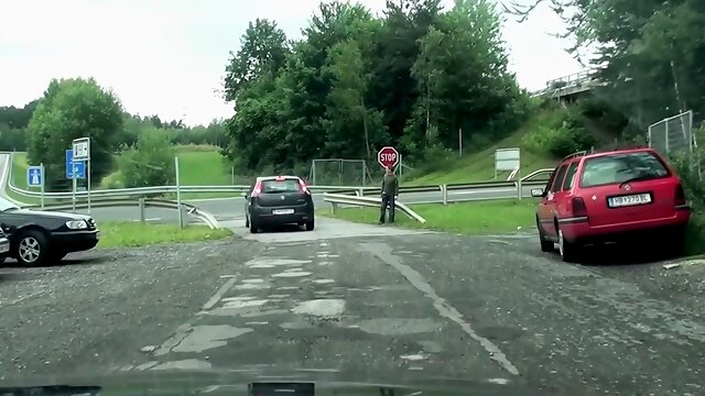 Amateur bitches blowjob on the backseat