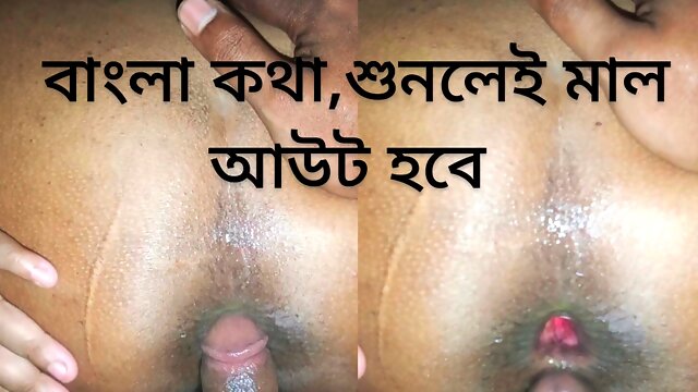 Desi anal sex with clear Bangla audio 