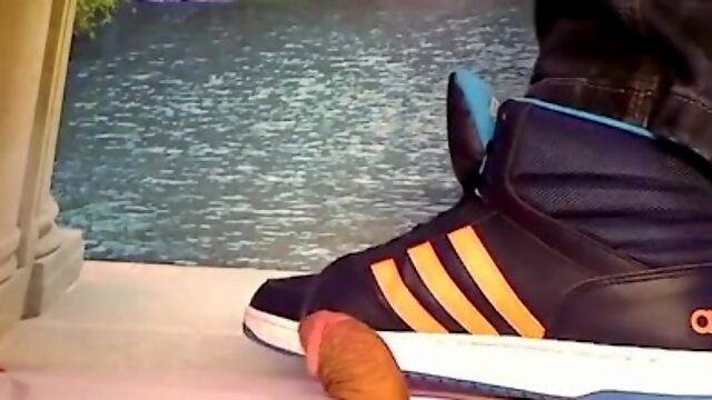Cbt Stomping dick by adidas sneaker