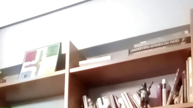 Transparent colleagues