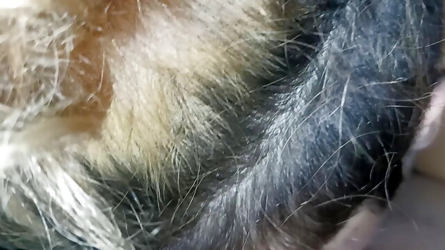 Me and my stepsister on the couch