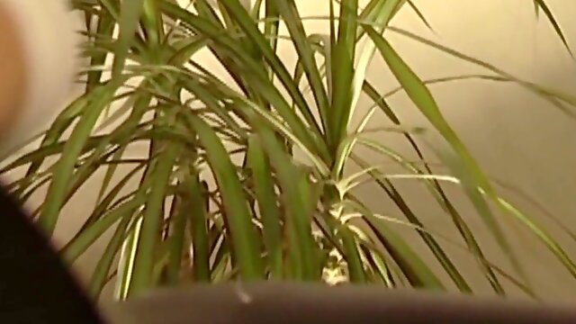 Wet three bang on the bed with trio czech lad studs