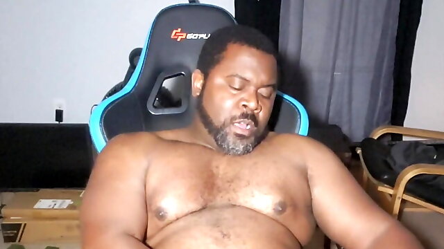 Black Bear Masturbating in Gamer Chair