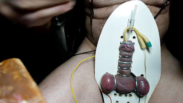 Electro strapped to board needles in testes