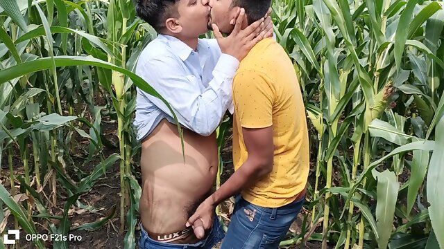Indian Gay - Today Collage Boy & College Teacher I Saw A Corn Field Side Of The Forest So I Enjoyed Going To The Corn Field