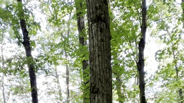 Outdoor Sex in the Woods Pissing and Cum