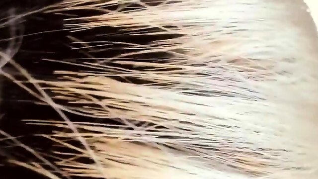 Msophiaaa onlyfans xxx porn videos