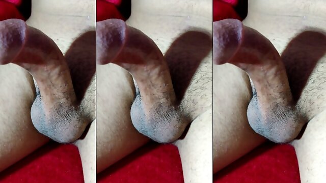 Gay Penis