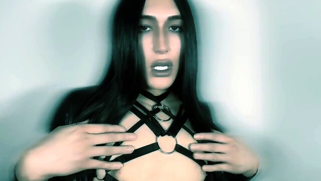 Dominatrix Joi, Viperfierce, Gimp