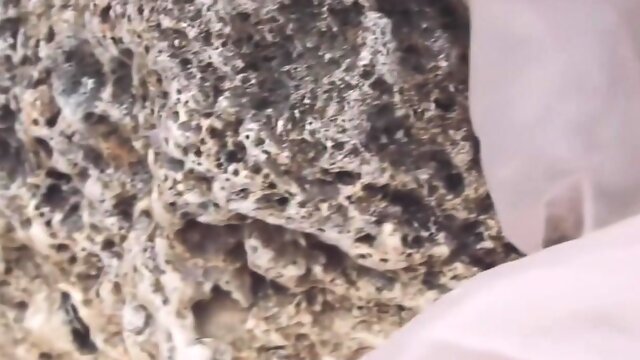 Grace-001 Best A Little Sister/ema Futaba