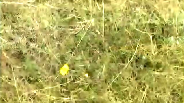 Studentin Auf Dem Feld Eingeritten