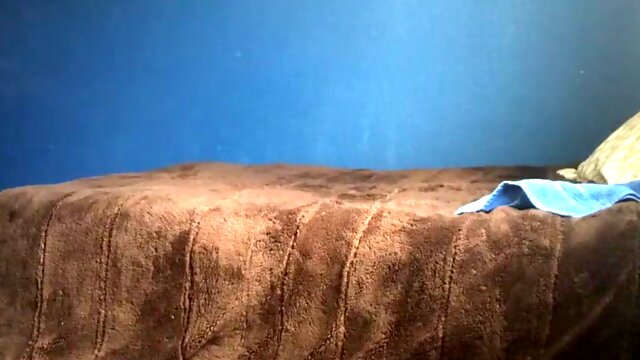 Chacal Pounding For Cash