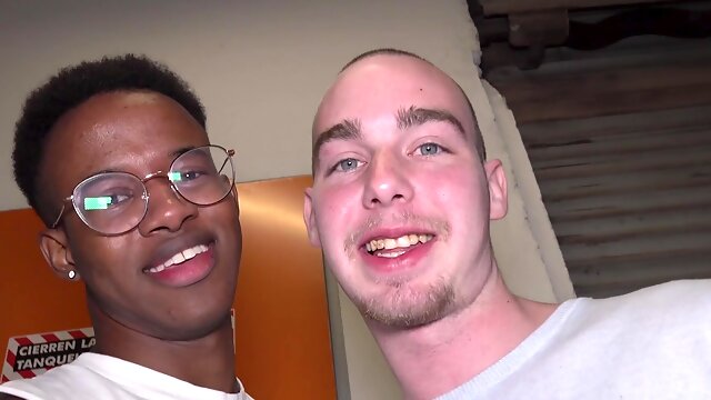 Homo