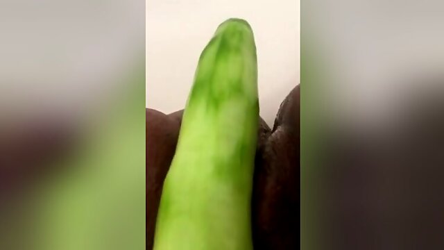 Cucumber