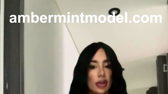 Ambermintmodel