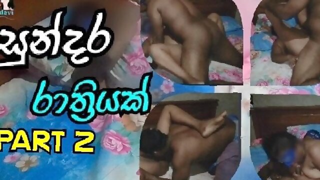 Sri Lankan - Husband and Wife Romantic Fuck - Real Sex Tape - part 2