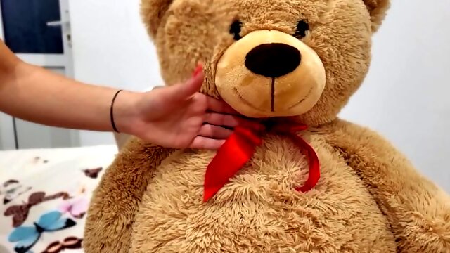 Teddy Bear, Cute