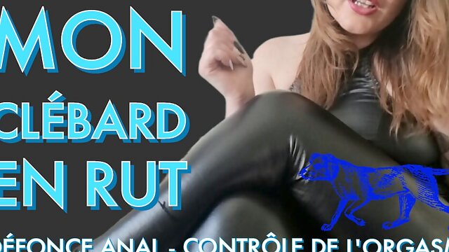My Clebard in rut, I your anal with my belt