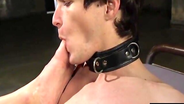 Domme Pegs Suspended Gimp Before Hj Domination 6 Min