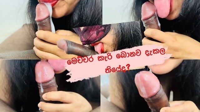 Blowjob, Sri Lankan, Indian, Big Ass